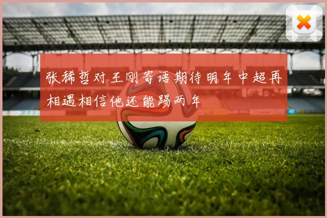 张稀哲对王刚寄语期待明年中超再相遇相信他还能踢两年